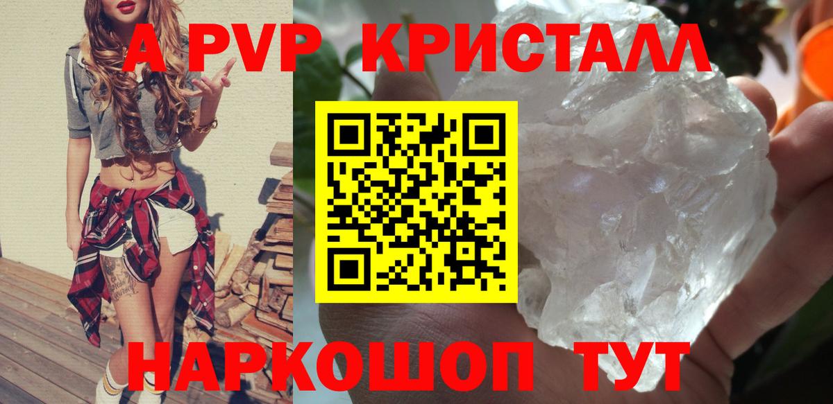 Альфа ПВП СК Майкоп