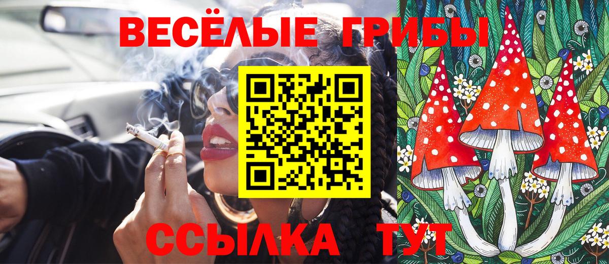 Майкоп  Галлюциногенные грибы прущие грибы  Вход с VPN  Галлюциногенные грибы мицелий 