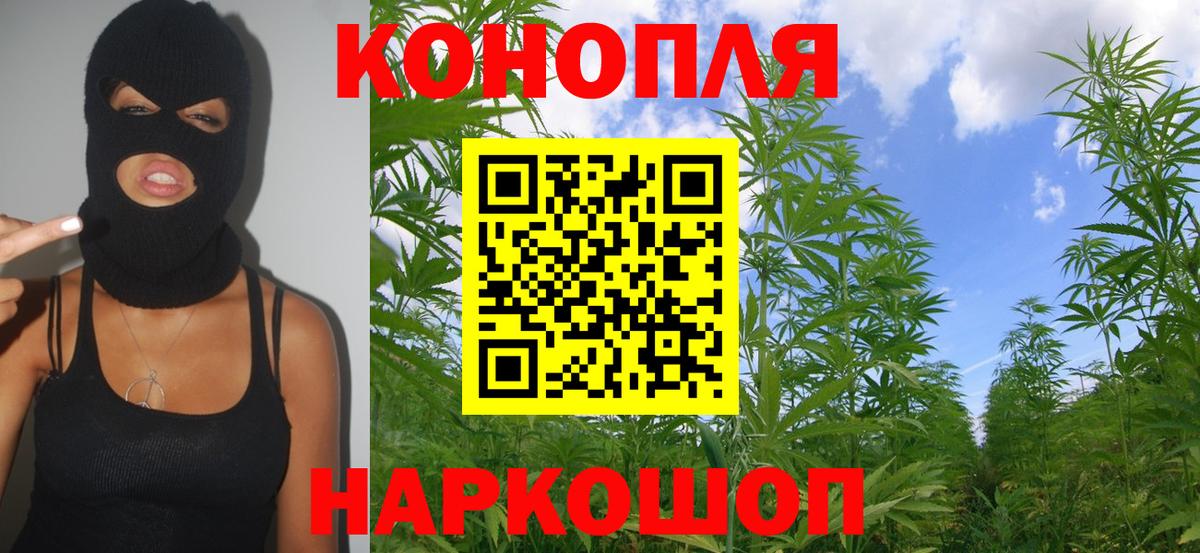 Шишки марихуана семена  Марихуана OG Kush  Майкоп  Марихуана SATIVA & INDICA  Шишки марихуана гибрид  Вход с VPN 